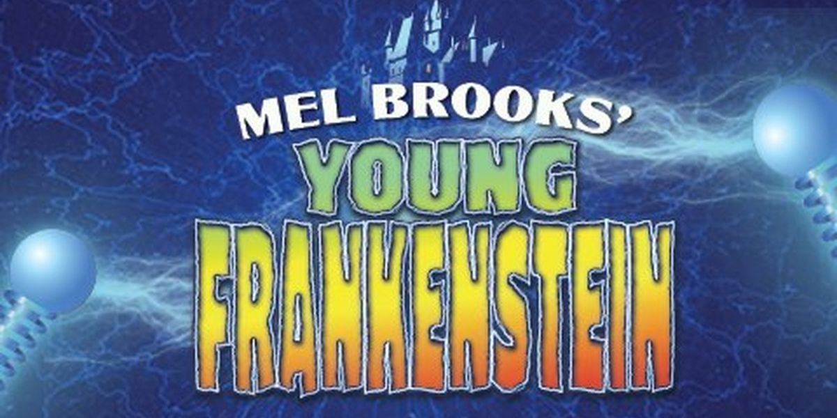 Mel Brooks' YOUNG FRANKENSTEIN is Coming to Berkshire Theatre Group Summer 2024
