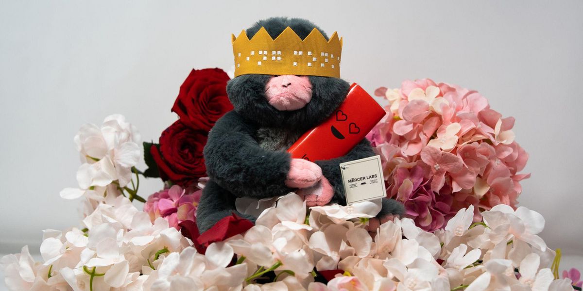 Mercer Labs Unveils Valentine’s Day Ticket Packages And Special Exhibition Activations