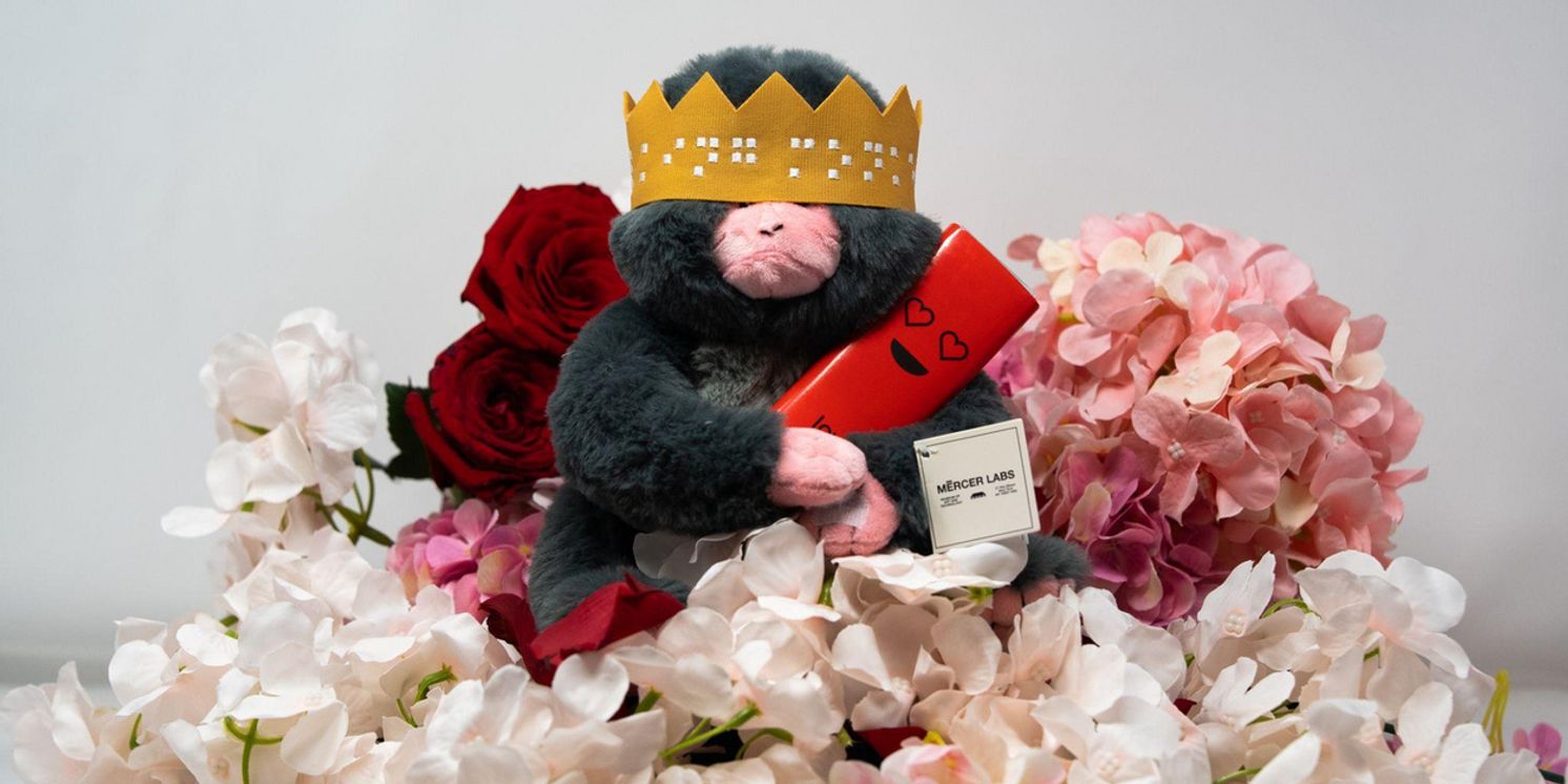 Mercer Labs Unveils Valentine’s Day Ticket Packages And Special Exhibition Activations  Image