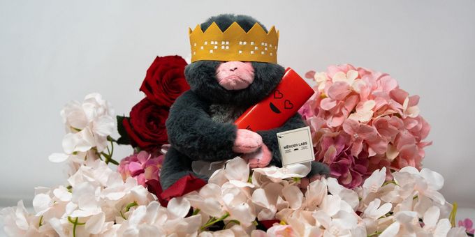 Mercer Labs Unveils Valentine’s Day Ticket Packages And Special Exhibition Act Photos