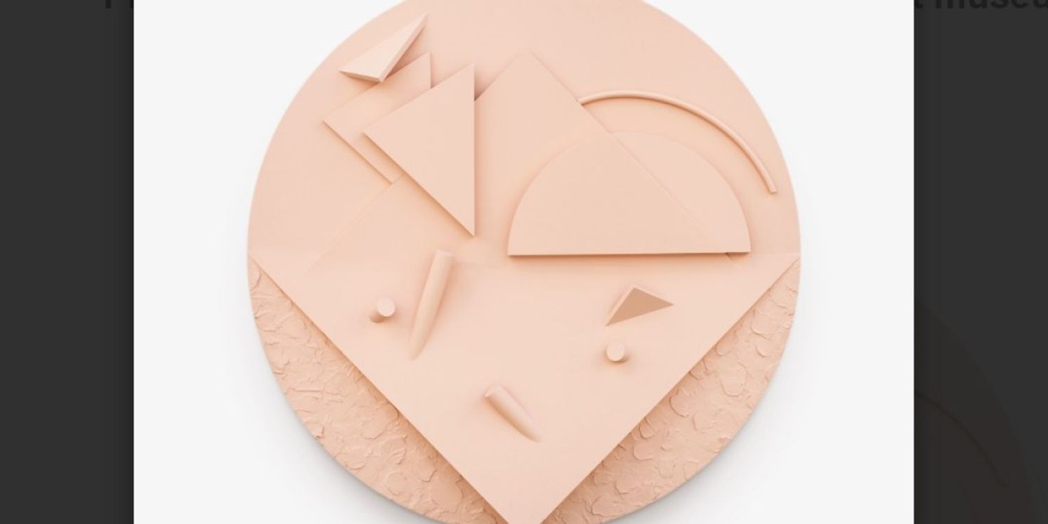 Michael Afsa To Have First Museum Exhibition At Scottsdale Museum of Contemporary Art  Image