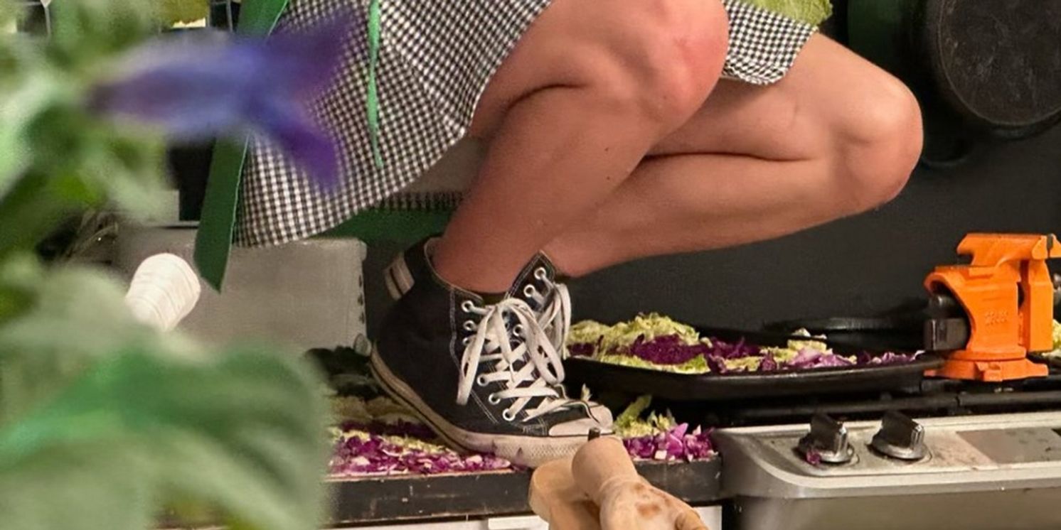 Michelle Ellsworth Returns to The Chocolate Factory Theater Next Month  Image