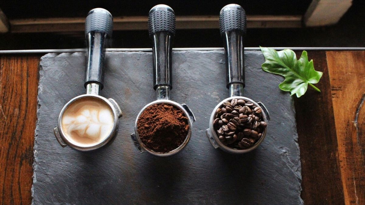 Midland Center for the Arts, Live Oak to Open New Café