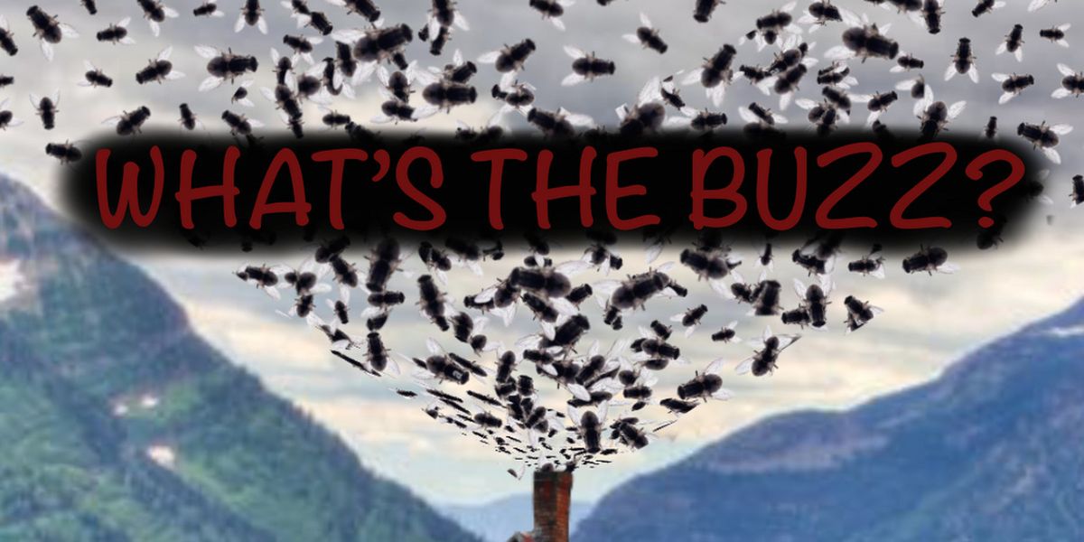 Midnight Snack Productions to Present Industry Reading of WHAT'S THE BUZZ?