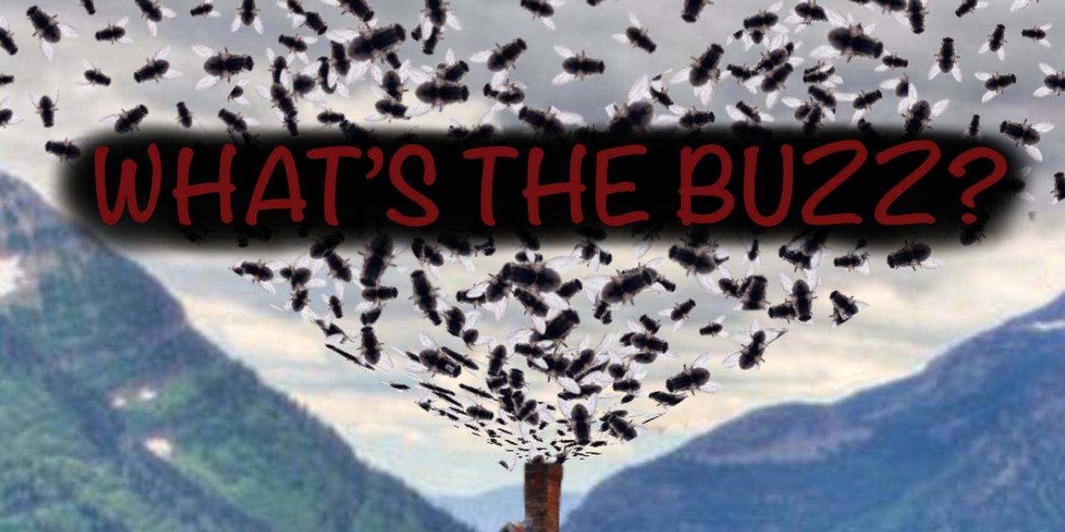 Midnight Snack Productions to Present Industry Reading of WHAT'S THE BUZZ?  Image