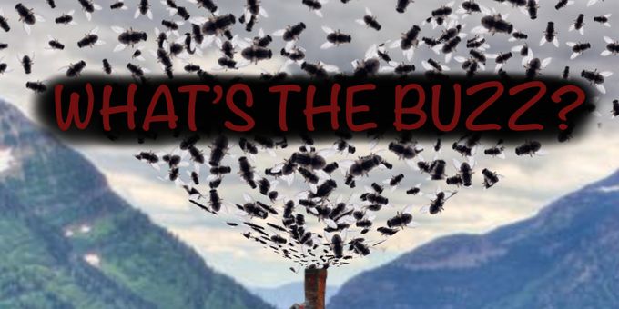 Midnight Snack Productions to Present Industry Reading of WHAT'S THE BUZZ? Photos