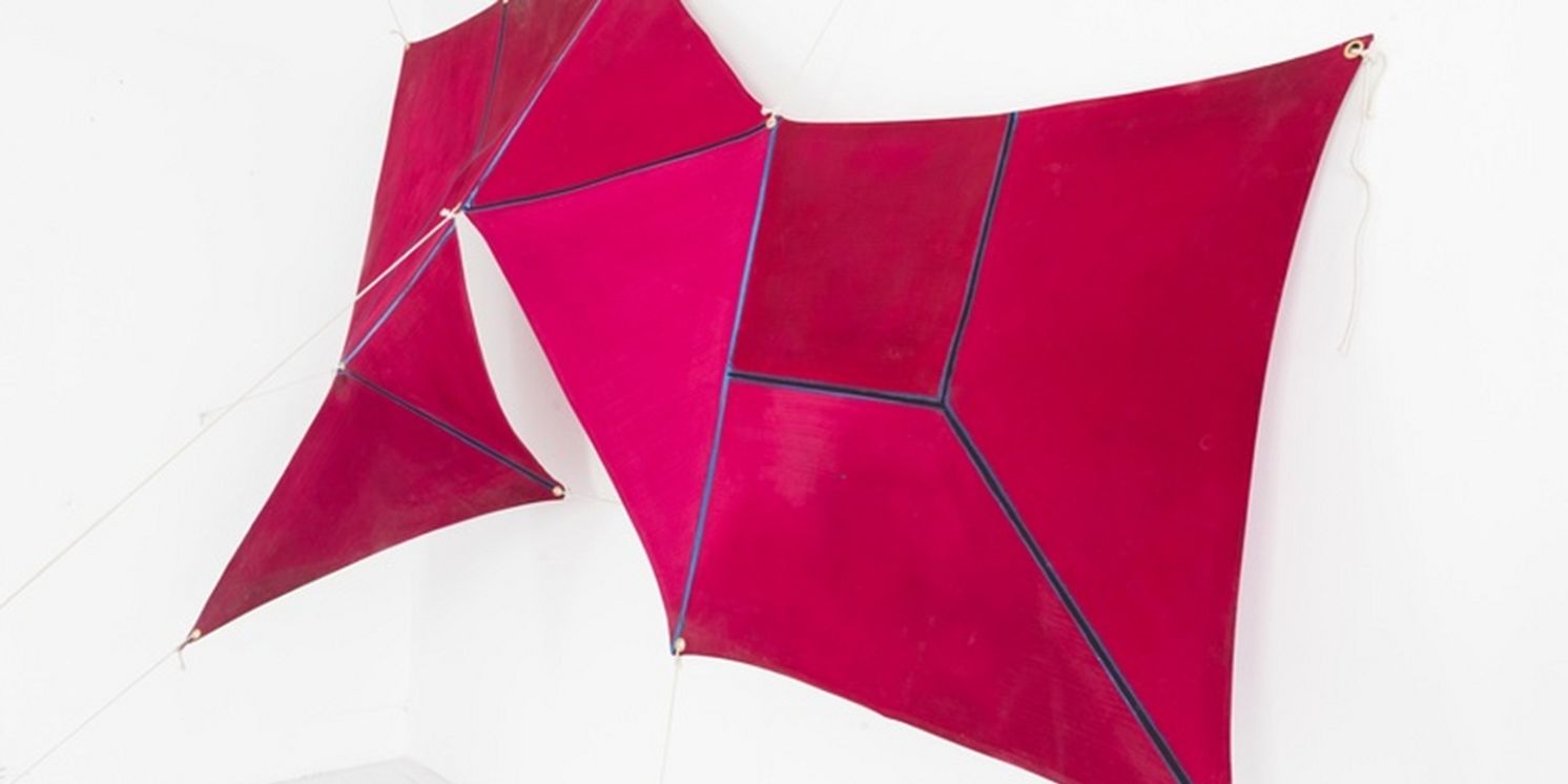 Mississippi Museum of Art to Present JOE OVERSTREET: TAKING FLIGHT  Image
