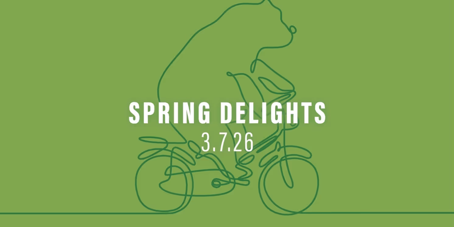 Mississippi Symphony Orchestra Will Perform CHAMBER 4: SPRING DELIGHTS in March  Image