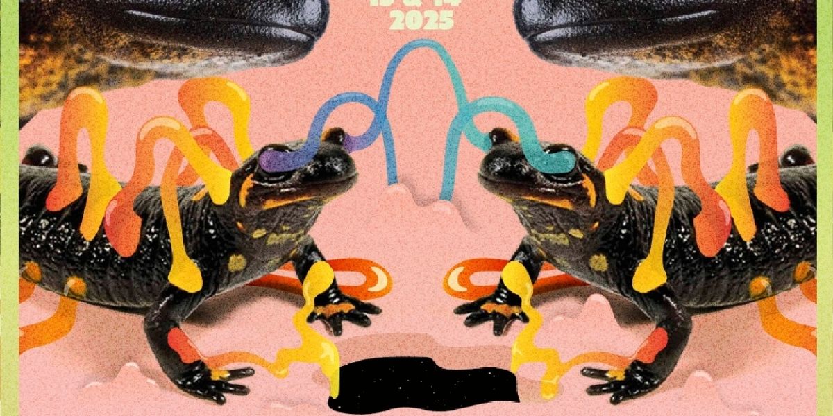 Modest Mouse to Present 'The Psychic Salamander Festival'