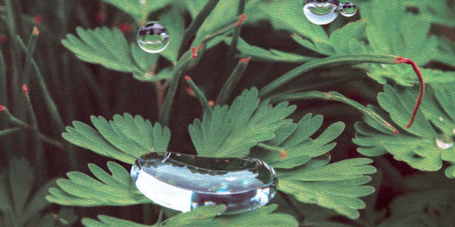 Mood Hut Welcomes Cousin to the Label With New EP  Image