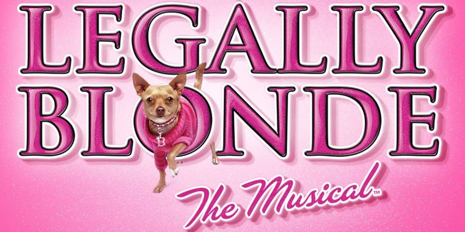 Moonbox Productions Presents LEGALLY BLONDE: The Musical, December 8-31  Image