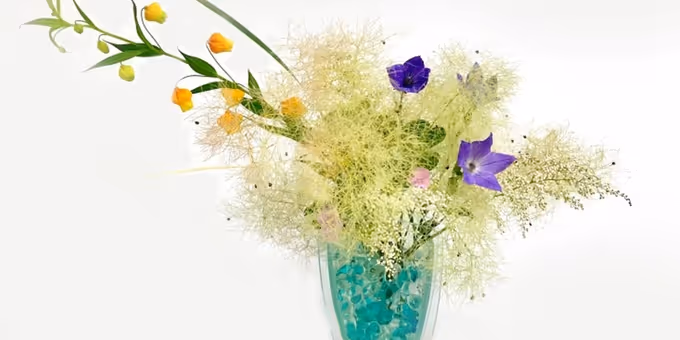 Morikami Museum And Japanese Gardens Unveils April Workshops And Events Photos