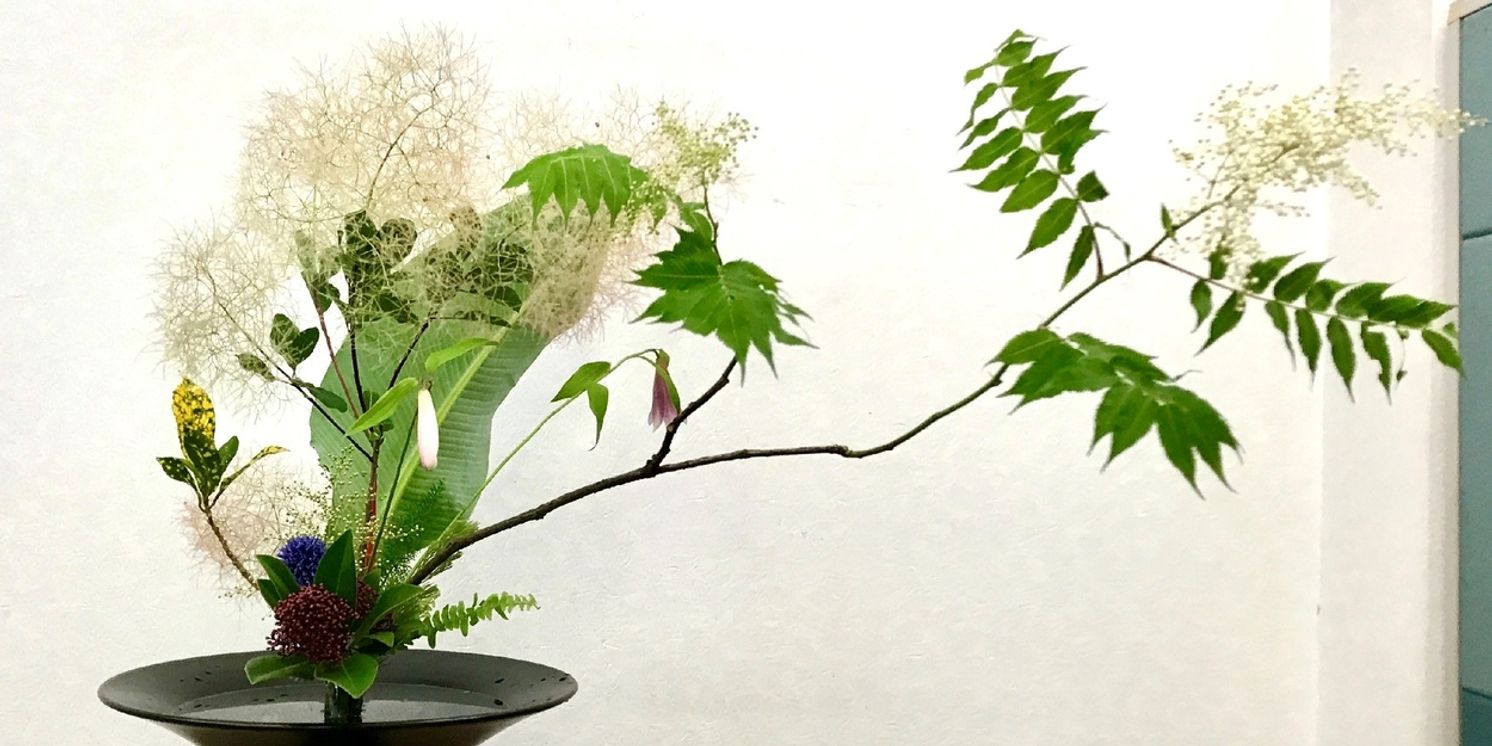 Morikami Museum and Japanese Gardens Unveils December Programming  Image