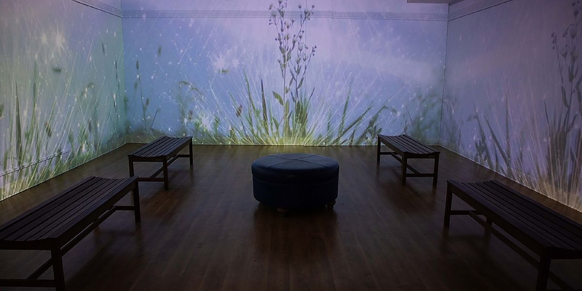 Morris Museum in Morristown-A Fascinating Destination for Culture and Art