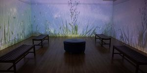 Morris Museum in Morristown-A Fascinating Destination for Culture and Art