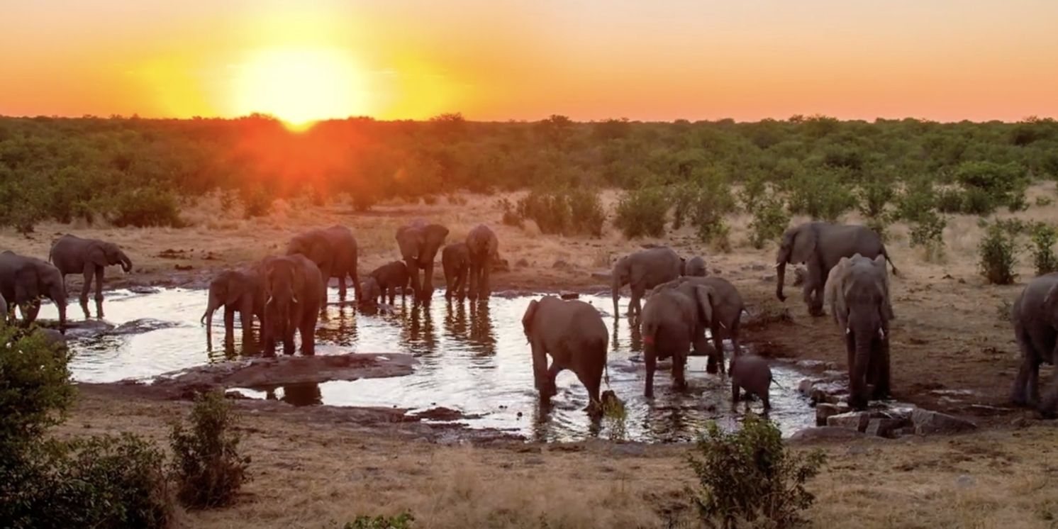 Multi-Sensory Experience ILLUMINARIUM to Debut At Chicago's Navy Pier in June  Image