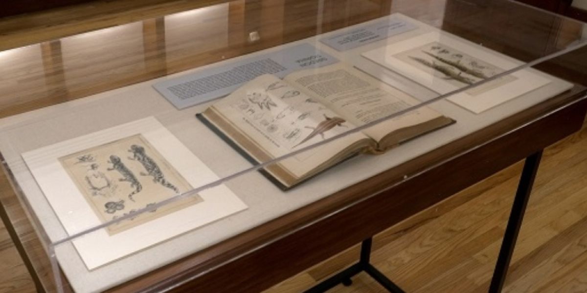 Munal Abre Espacio Dedicado A Bocetos Y Apuntes De José María Velasco