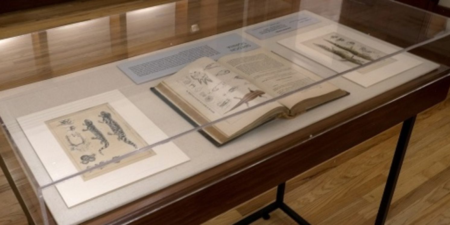 Munal Abre Espacio Dedicado A Bocetos Y Apuntes De José María Velasco  Image