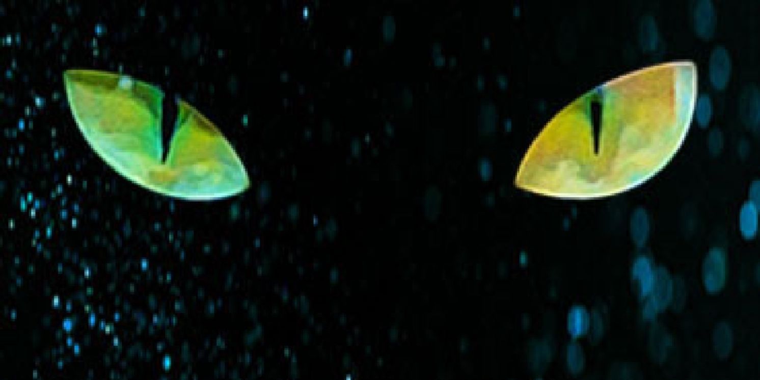 Muse Machine Presents CATS at Victoria Theatre  Image