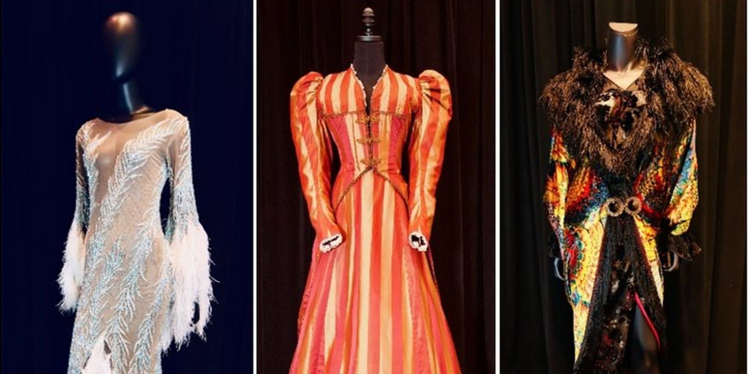 Museum Of Broadway Adds New Costumes From THE CHER SHOW, THE WILD PARTY, and MARIE CHRISTINE  Image