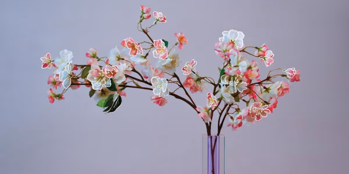 Mxmtoon Releases 'PLUM BLOSSOM (REVISITED)' EP