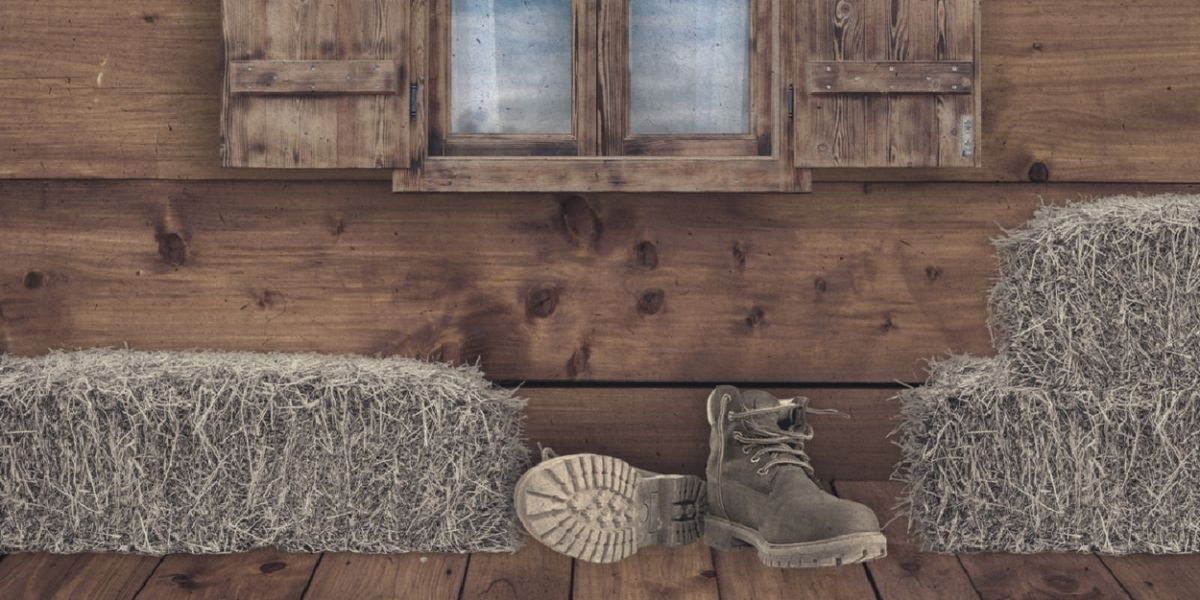N. Richard Nash's THE RAINMAKER to be Presented at Burning Coal Theatre Company