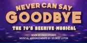 NEVER CAN SAY GOODBYE: THE '70S BEEHIVE MUSICAL to Open at Actors Theatre of Indiana Photo