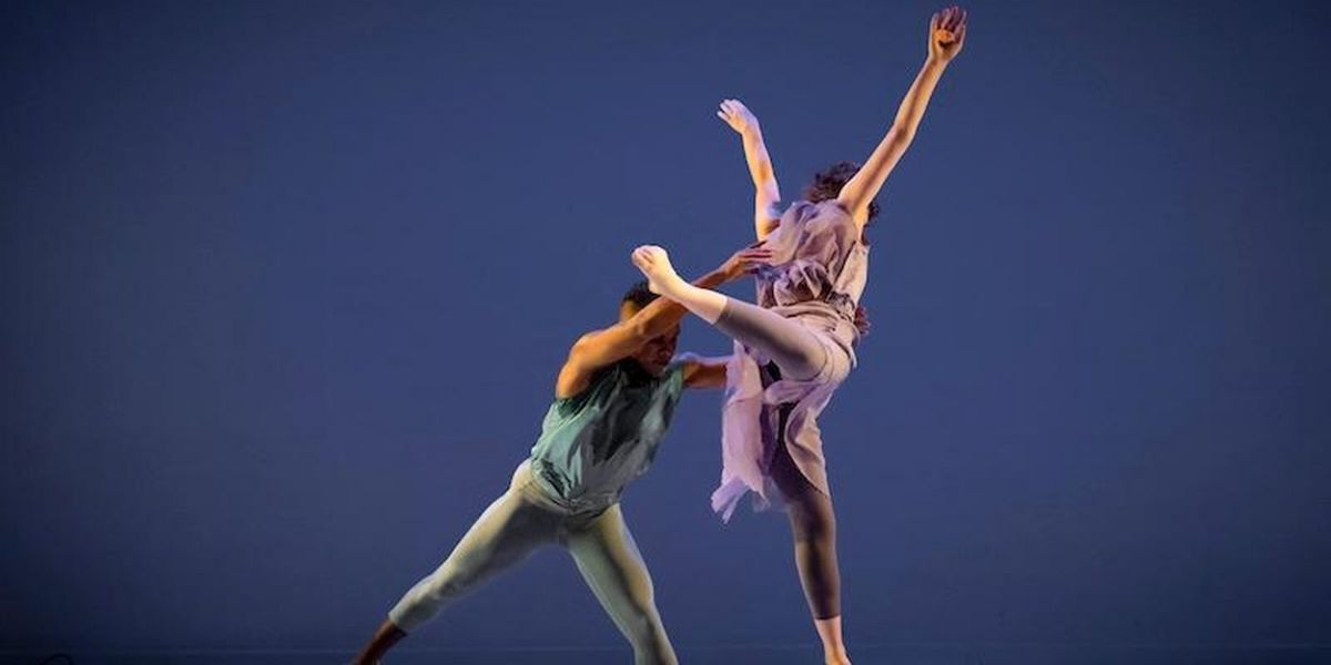 Nancy Karp + Dancers Unveils 2024 Season With Musical Guests Friction Quartet