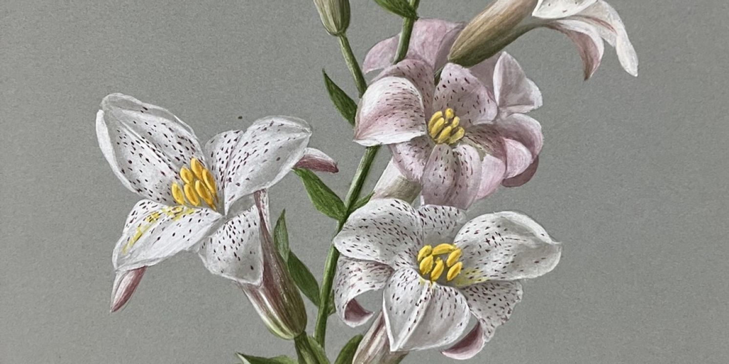 Napa Valley Museum Yountville Announces New Exhibition SOPHIE ALSTROM MITCHELL: WILDFLOWERS OF THE NAPA VALLEY  Image