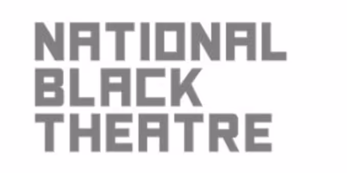 National Black Theatre Will Present Sarah Jones, Amy Sherald Stage Adaptations i Photos