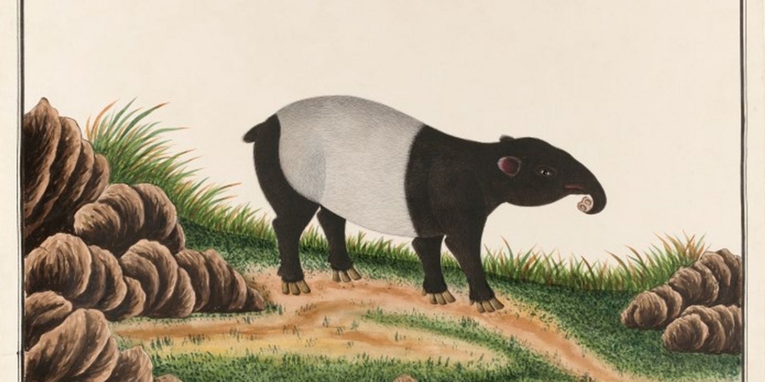 National Museum of Singapore's Vibrant Digital Installation Voyage Brings Animals to Life  Image