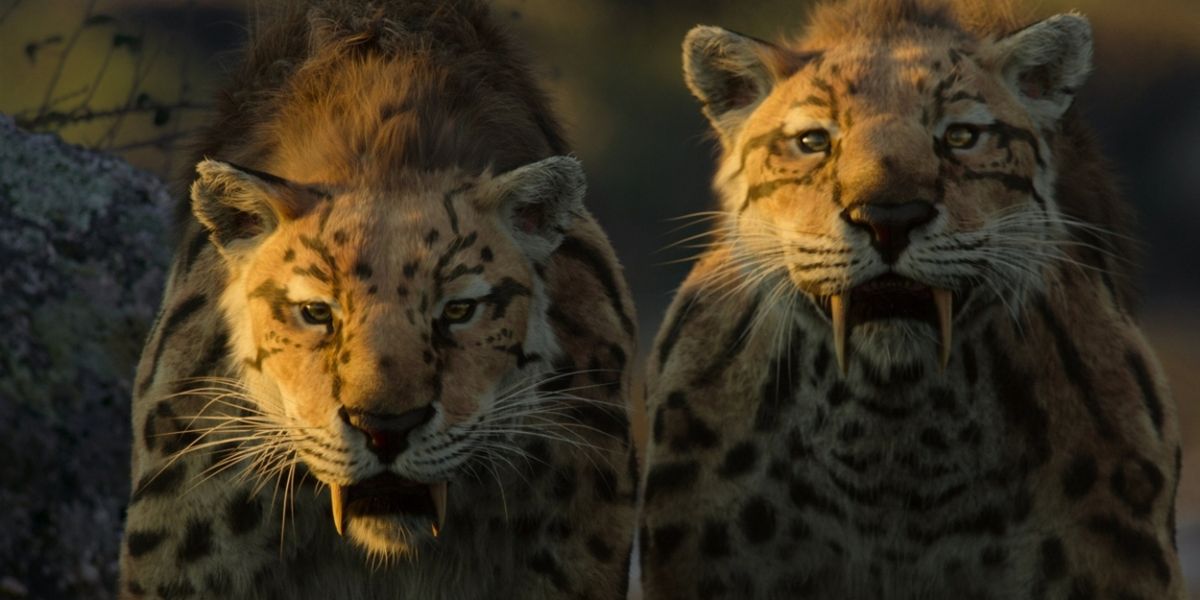 Netflix Greenlights Next Iteration of LIFE ON OUR PLANET Series Franchise