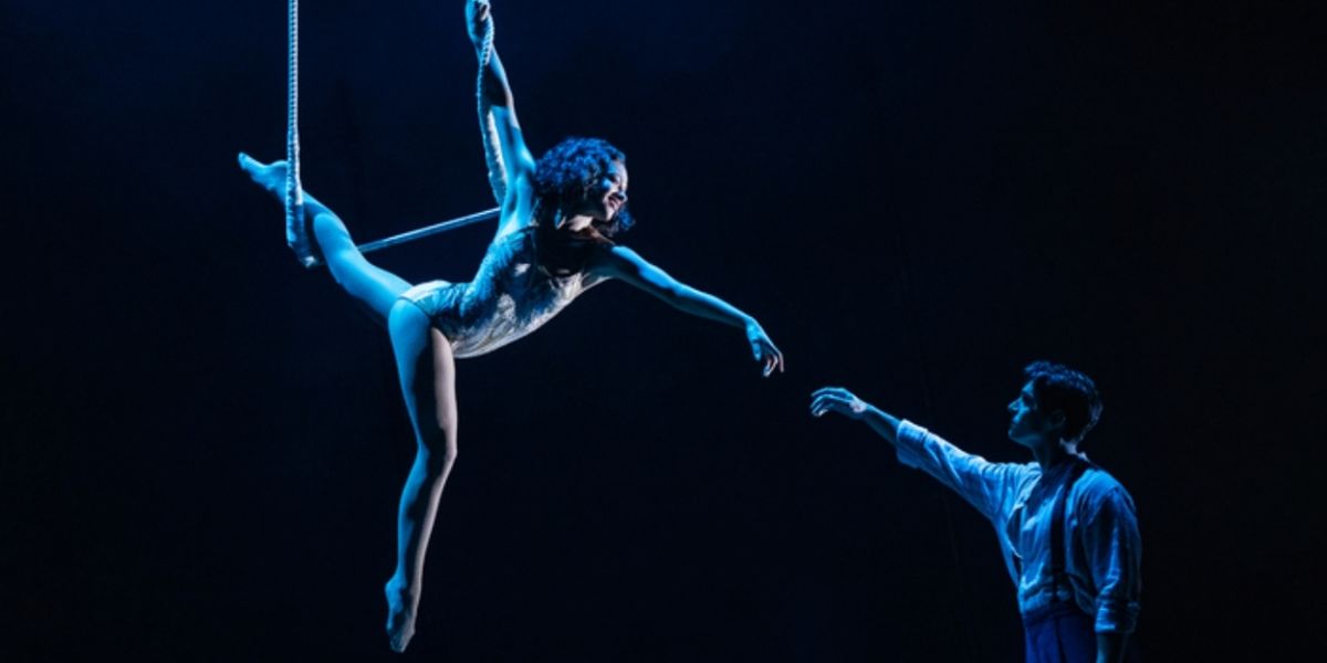 Network for Victim Recovery DC Will Host Talkback at WATER FOR ELEPHANTS
