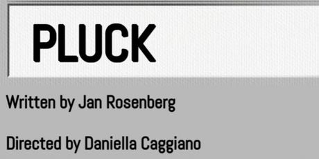 Neurodivergent Plays To Present Reading Of PLUCK At Brooklyn Art Haus Photo