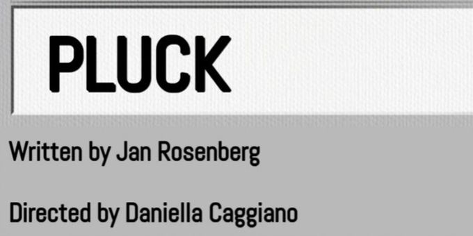 Neurodivergent Plays To Present Reading Of PLUCK At Brooklyn Art Haus Photos