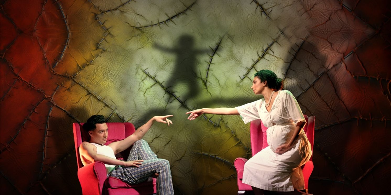 New Adaptation Of Mary Shelley's FRANKENSTEIN Will Open at Leeds Playhouse in February Ahead of Tour  Image