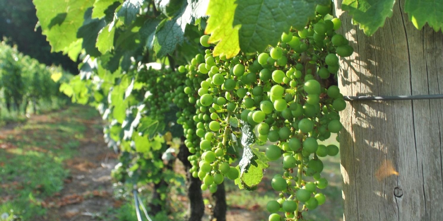 New Jersey Wineries Invite Visitors To Winter Tastings And Weekly Events Across The State  Image