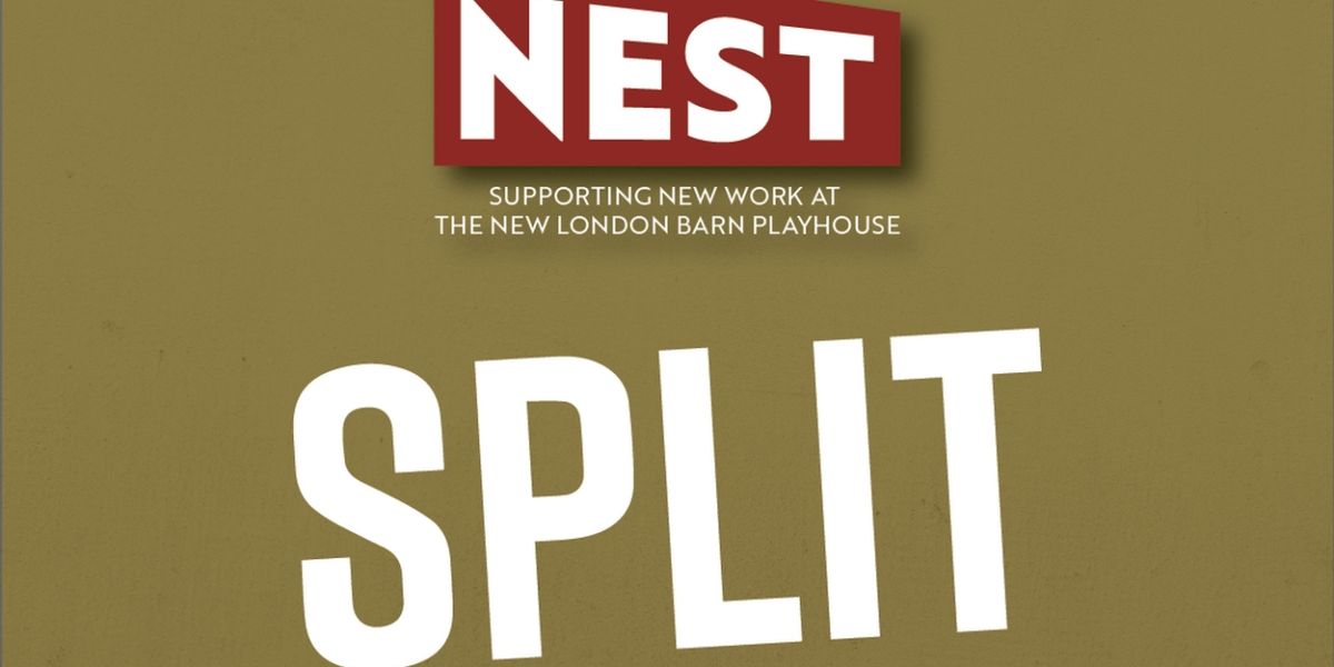 New London Barn Playhouse And Transport Group Announces Developmental Production Of SPLIT