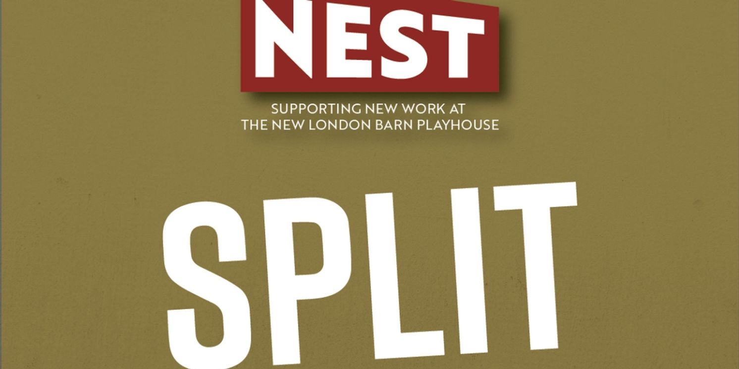New London Barn Playhouse And Transport Group Announces Developmental Production Of SPLIT  Image