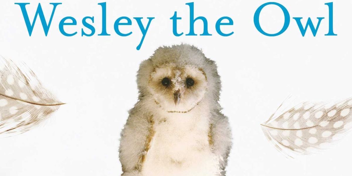 New Musical Play WESLEY will Have Private Industry Readings in May
