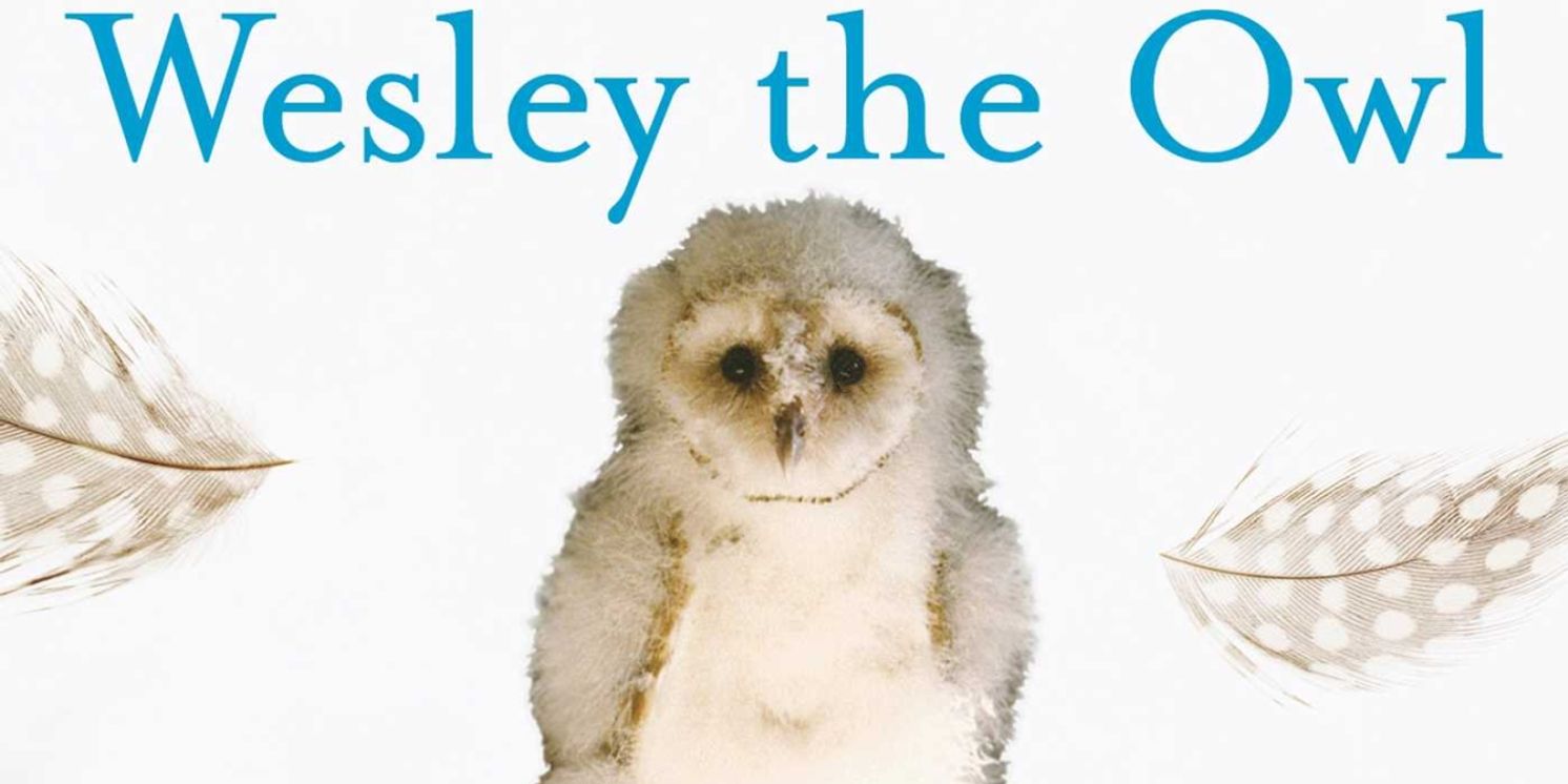 New Musical Play WESLEY will Have Private Industry Readings in May  Image