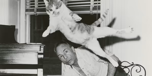 New NYPL Photo Exhibition Will Spotlight Animal Muses of Broadway and Beyond Photo