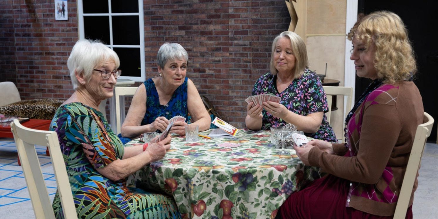 New Play BRIDGE to be Presented at York's The Belmont Theatre This Month  Image