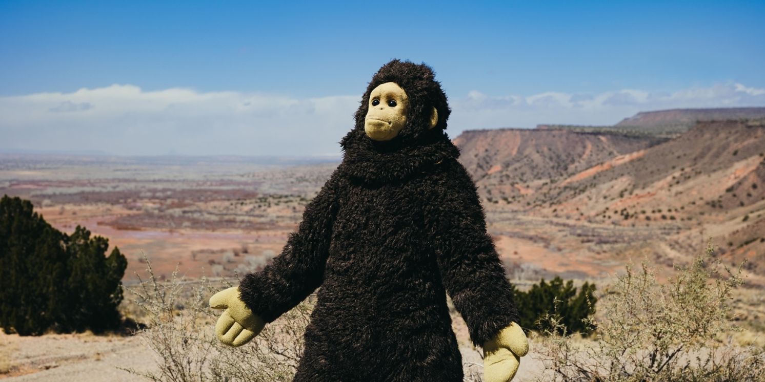 Nina Conti’s SUNLIGHT Sets U.S. Theatrical Release for June  Image