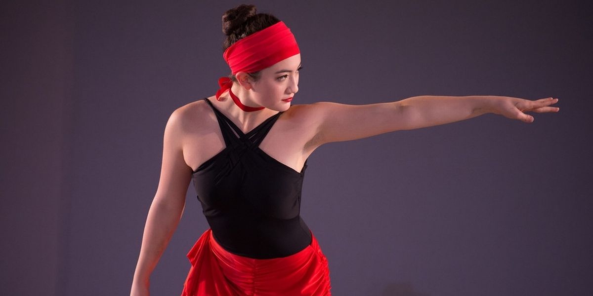 North Shore Civic Ballet Seeks Donations and Volunteers for Annual Spring Auction