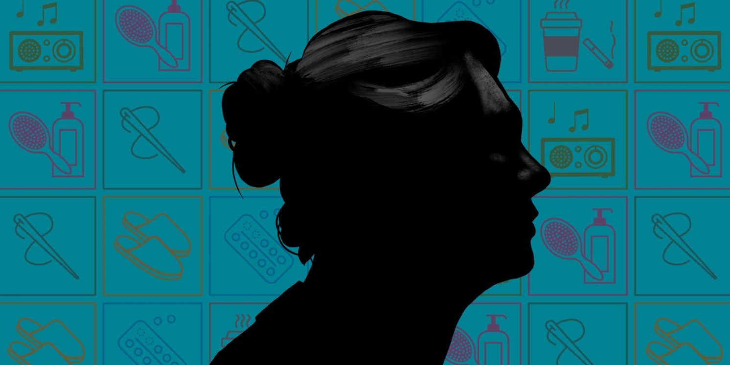 Northern Light Theatre Turns 50 with THE PINK UNICORN, REQUEST PROGRAMME, and a Brand-New Holiday Premiere  Image