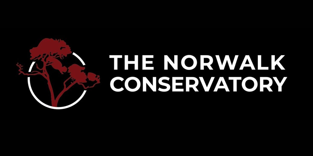 Norwalk Conservatory Students To Perform National Anthem At Yankee Stadium