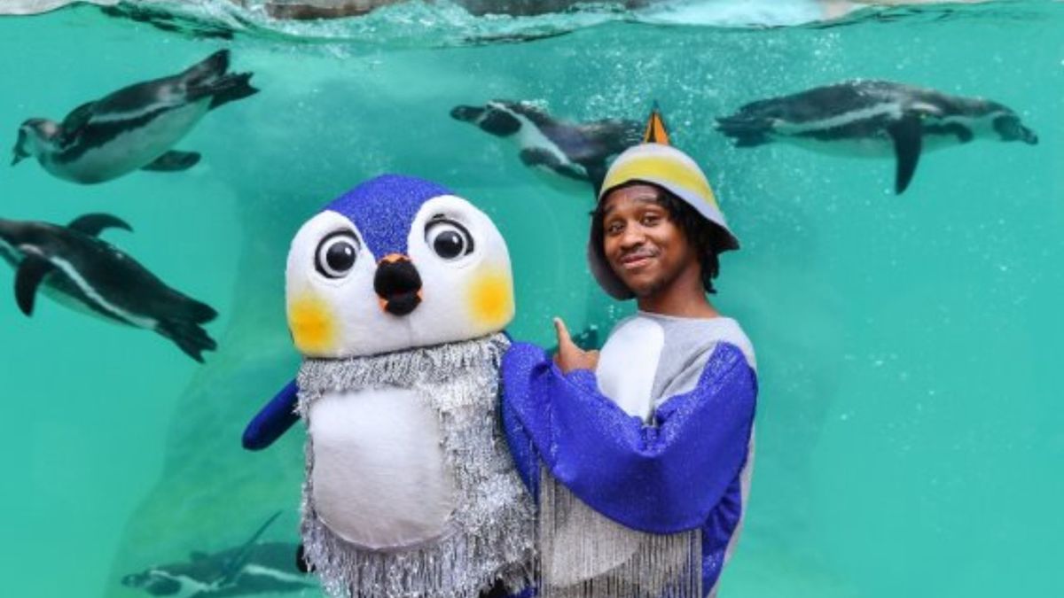 ONE TINY PENGUIN Will Open at Birmingham Hippodrome