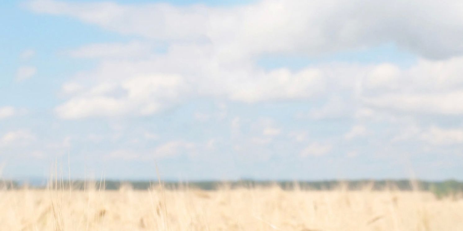 ORA SPEI: A Concert For Ukraine Comes to the National Theatre in Prague  Image