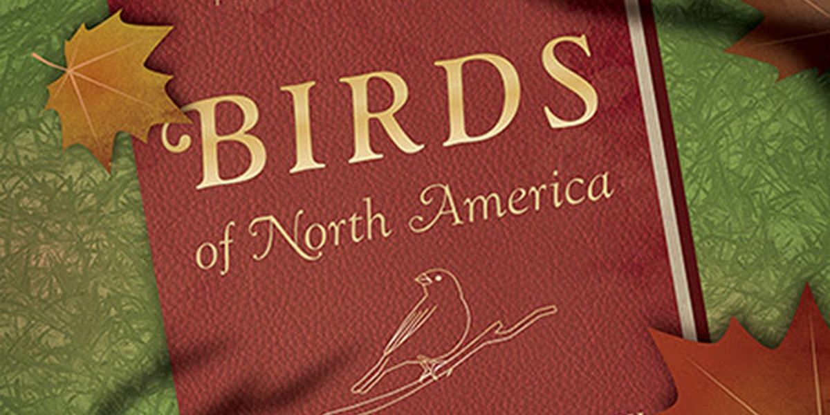 Odyssey Theatre Adds 3 Performances of BIRDS OF NORTH AMERICA